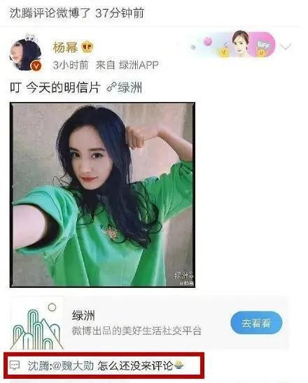 吃瓜娱乐小能手,吃瓜娱乐小能手带你领略明星幕后故事
